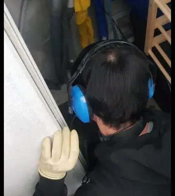 탐지 이미지